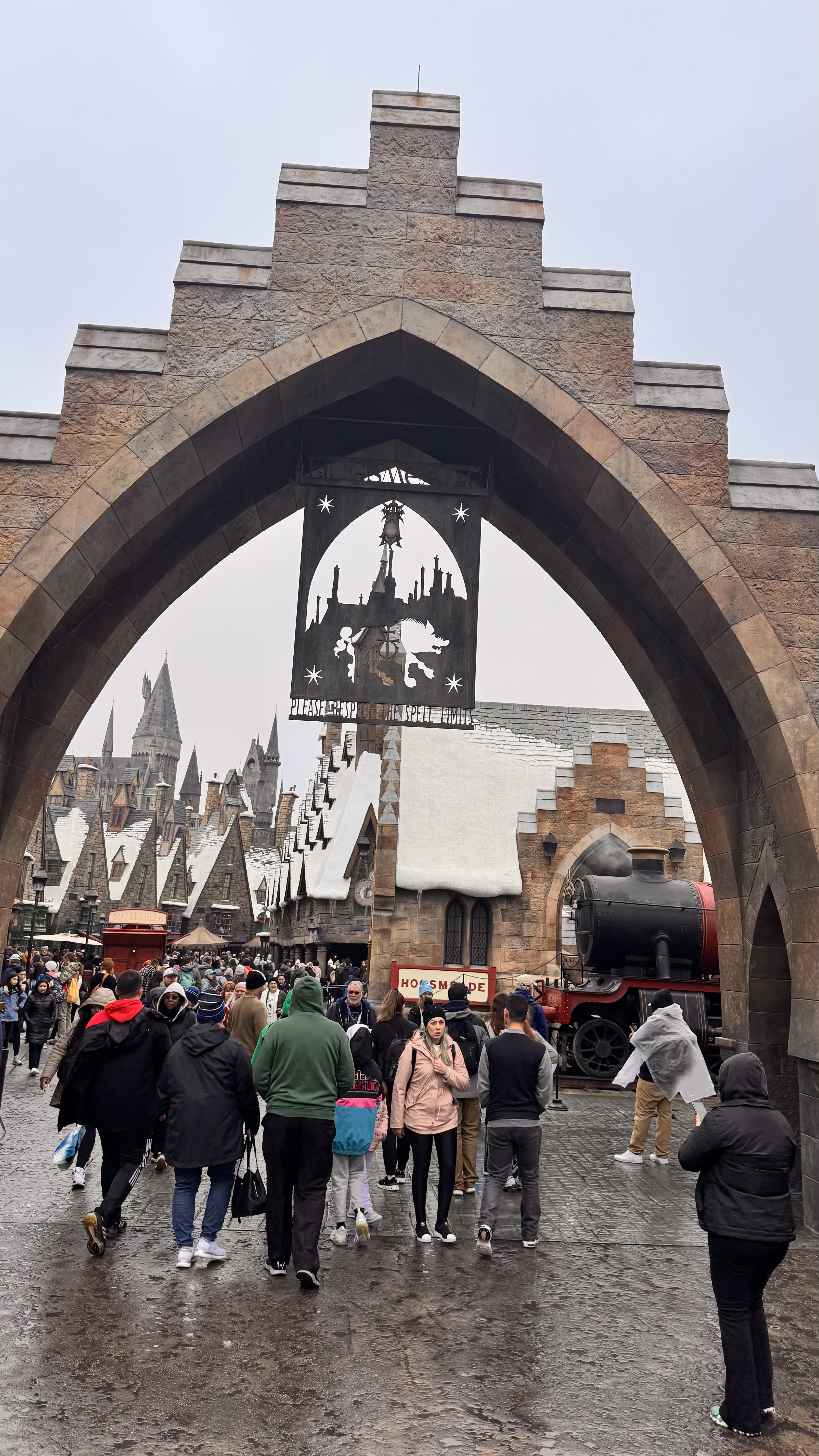 Flight of the Hippogriff™