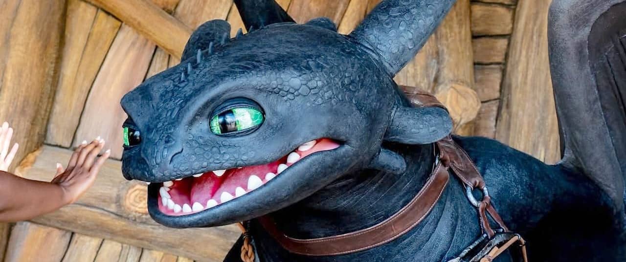 Meet Toothless and Friends